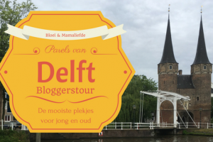 Bloggerstour Delft