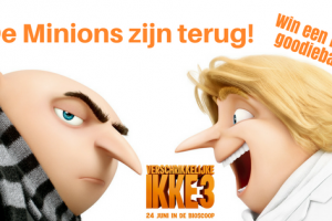 Verschrikkelijke Ikke 3