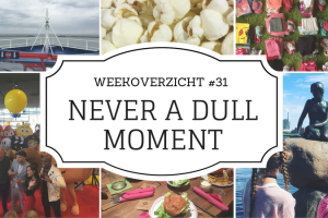 weekoverzicht #31