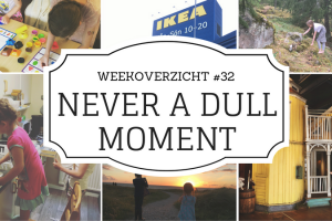 Never a Dull Moment weekoverzicht #32