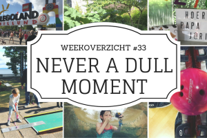 weekoverzicht -Never a Dull Moment #33