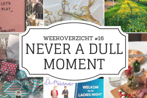 Never a Dull Moment week 16