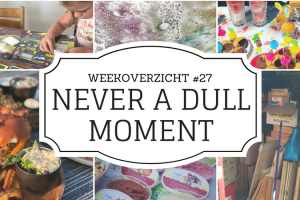 Never a Dull Moment week 27