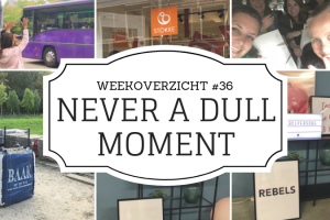 Never a Dull Moment week 36